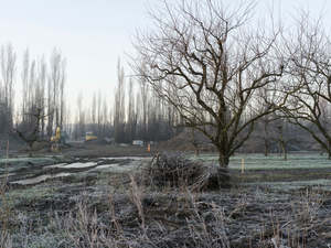 Wendybrandon: Lines of Sight #4