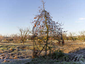 Wendybrandon: Lines of Sight #3