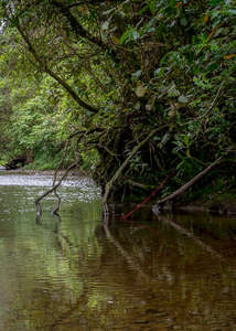 Wendybrandon: Lines of Sight #2