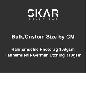 Prints By The Metre: Custom & Bulk by CM (min. order 50cm) - Museum Plus