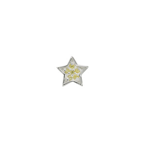 Charms: Citrine Shooting Star - Luck