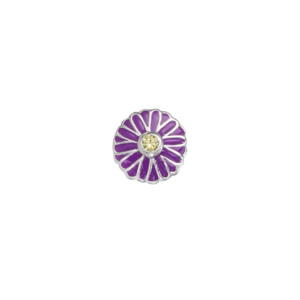 Birth Flowers: September - Aster