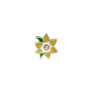 Birth Flowers: March - Daffodil