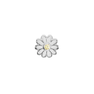 Birth Flowers: April - Daisy