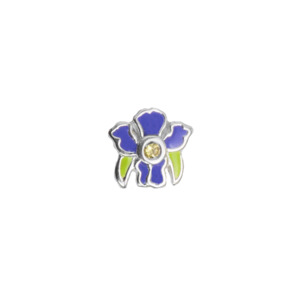 Iris