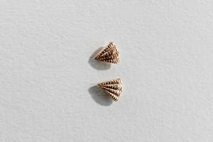 Earrings: Scallop Stud Earrings - 9ct Gold