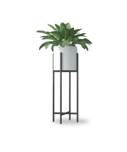 Products: Plant with Stand