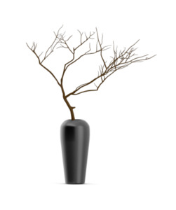 Products: Black Vase