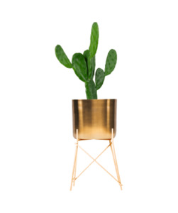 Products: Golden Tub