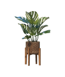 Products: Huawei Plant