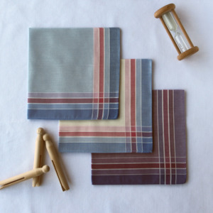 Products: Ladies 'Charlotte' Hankies 3pk