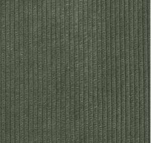 Darven 08 Corduroy Fabric