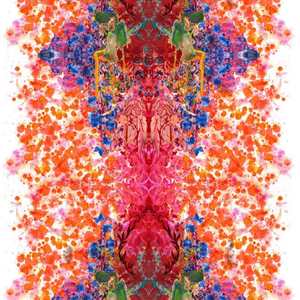 Omni Splatt Orange Fabric