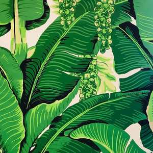 Braziliance Outdoor Fabric