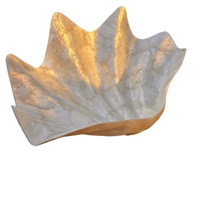 Bar Cart Collection: Crushed Shell Large Clam Bowl