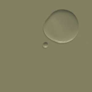 Paint: Olive 2.5L Wall Paint