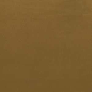 Second Duke Gold Velvet Fabric