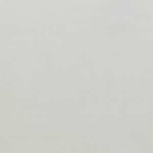 Warwick Fabrics: Second Duke Polar Velvet Fabric