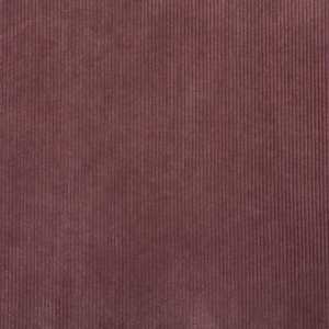 Rioma: Darven 29 Corduroy Fabric