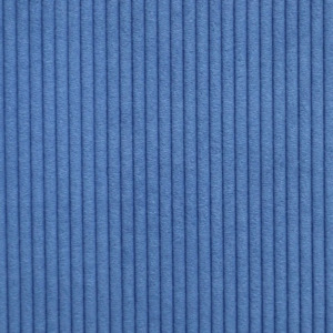 Rioma: Darven 14 Corduroy Fabric