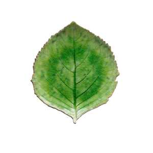 Riviera Leaf Plate 22cm Green