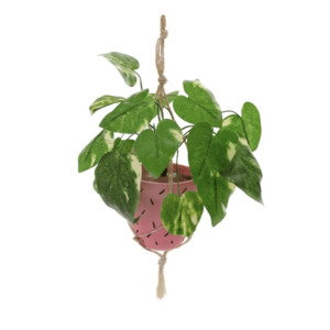 Hanging Plant Bauble