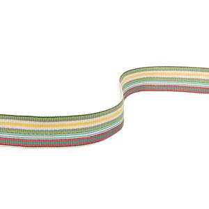 Jim Thompson: Multi Coloured Stripe Trim
