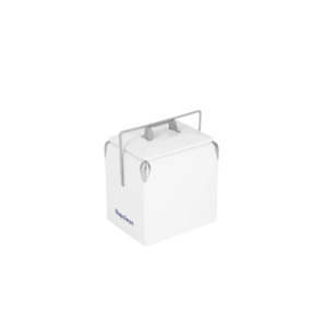 Coconut White Mini Chilly Bin