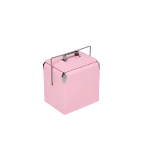 Candy Pink Mini Chilly Bin