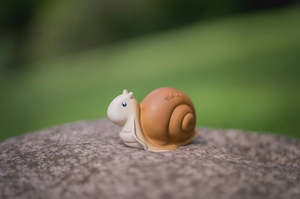 Tikiri: Garden Friends -Snail | Tikiri