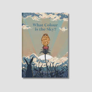 What Colour Is The Sky? | Laura Shallcrass