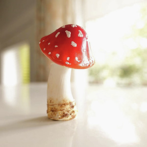 New: Mushroom Magnets