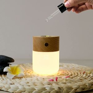 International: Ginko Smart Diffuser Lamp
