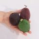 Poppy + Sage | Avocado | Beeswax Candle