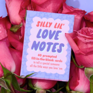 Cards Stationary: Silly Little Love Notes