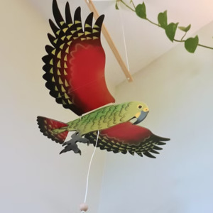 Made In Nelson: Flying Kea Mobile