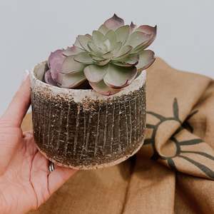 New: Claybound Ceramics | Planter