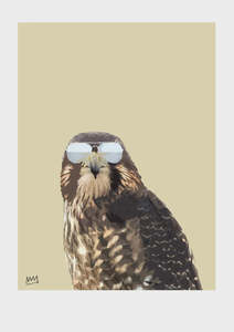 Melissa Sharplin Art: Melissa Sharplin  | FOWARD FALCON A4 Print
