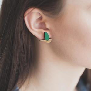 Earrings 1: Kereru Rimu Earrings