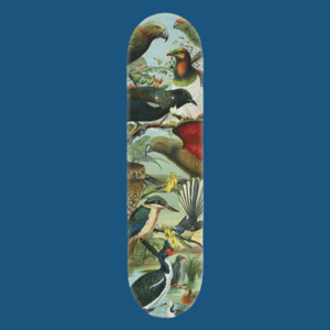 Wall Art: NZ Native Birds Skateboard Deck
