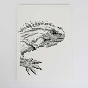 Wall Art: A4 Tuatara Art Print