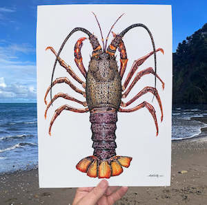 Wall Art: Matt Coates | 'Big Red' Crayfish