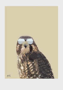 Art Stationary: Melissa Sharplin  | FOWARD FALCON A4 Print