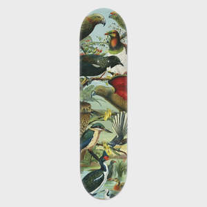 Art Stationary: NZ Native Birds Skateboard Deck