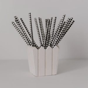 Acrylic Ice Cream Stand (16 Cone) 