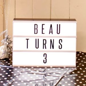 Salmon Picnic Umbrella