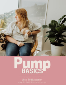 Guides: Pump basics