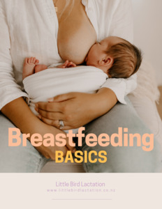 Guides: Breastfeeding basics