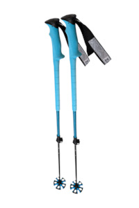 Ski Accessories: Zag North Poles Vario Blue