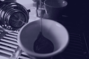 Products: Professional Calibration Barista Training - Little Drum Coffee